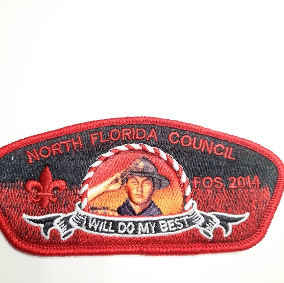 North Florida Boy Scout Patches NF Counsil 20 Wolf Bobcat Wolf Pin 2014 Badges - Picture 2 of 5